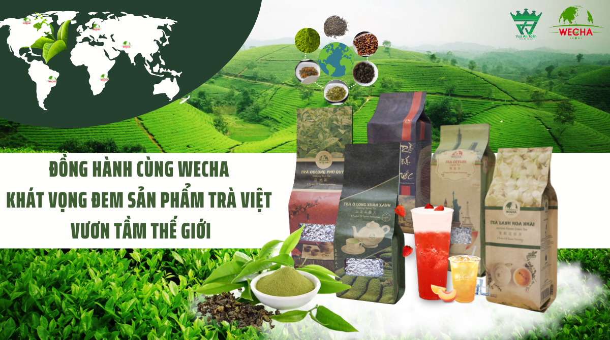 ĐỒNG HÀNH CÙNG WECHA - KHÁT VỌNG ĐEM SẢN PHẨM TRÀ VIỆT VƯƠN TẦM THẾ GIỚI ĐỒNG HÀNH CÙNG WECHA - KHÁT VỌNG ĐEM SẢN PHẨM TRÀ VIỆT VƯƠN TẦM THẾ GIỚI