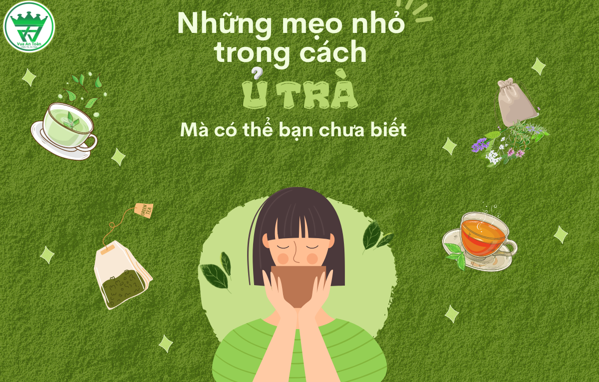 NHỮNG MẸO NHỎ TRONG CÁCH Ủ TRÀ NGON, CHUẨN VỊ - MÀ CÓ THỂ BẠN CHƯA BIẾT NHỮNG MẸO NHỎ TRONG CÁCH Ủ TRÀ NGON, CHUẨN VỊ - MÀ CÓ THỂ BẠN CHƯA BIẾT