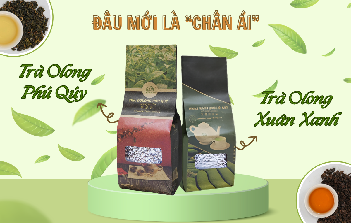 “CHÂN ÁI” CỦA BẠN LÀ LOẠI TRÀ NÀO - TRÀ OLONG XUÂN XANH WECHA HAY TRÀ OLONG PHÚ QUÝ WECHA “CHÂN ÁI” CỦA BẠN LÀ LOẠI TRÀ NÀO - TRÀ OLONG XUÂN XANH WECHA HAY TRÀ OLONG PHÚ QUÝ WECHA